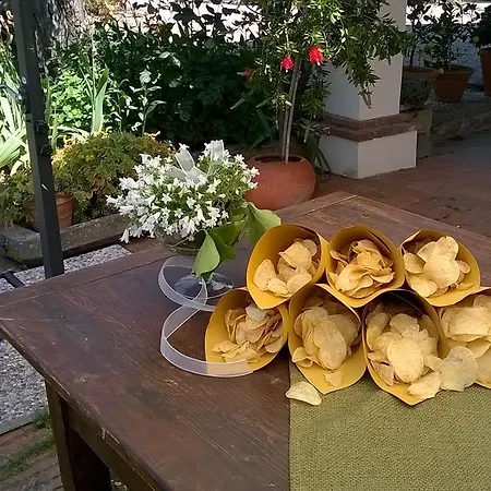 Farm stay I Viticci Impruneta