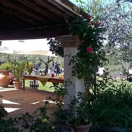 I Viticci