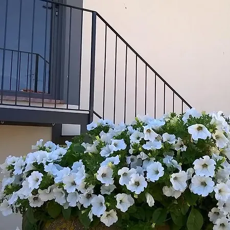 I Viticci Alloggio per agriturismo Impruneta