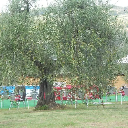 Alloggio per agriturismo I Viticci Impruneta